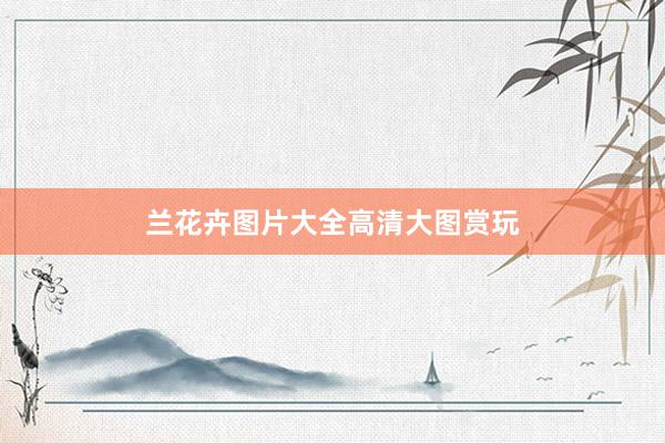 兰花卉图片大全高清大图赏玩