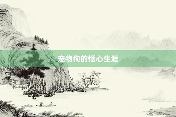 宠物狗的惬心生涯