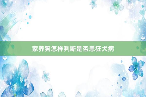 家养狗怎样判断是否患狂犬病